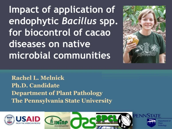 Rachel L. Melnick Ph.D. Candidate Department of Plant Pathology The Pennsylvania State University