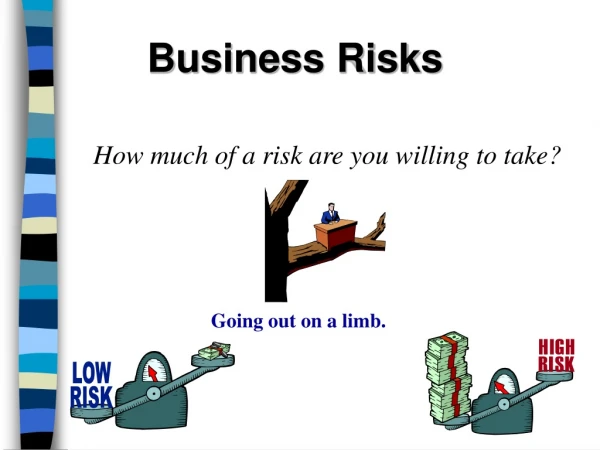 Business Risks