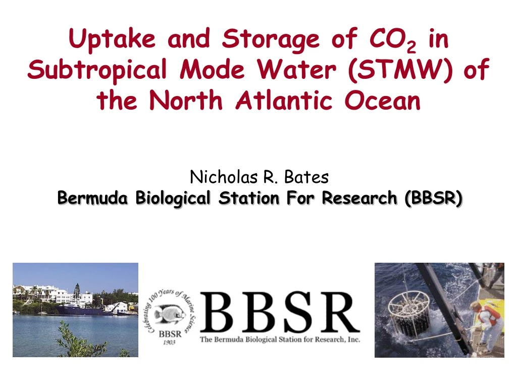 uptake and storage of co 2 in subtropical mode
