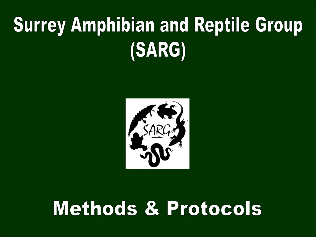 surrey amphibian and reptile group sarg