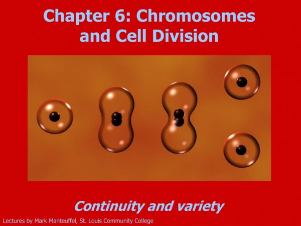 Chapter 6: Chromosomes and Cell Division