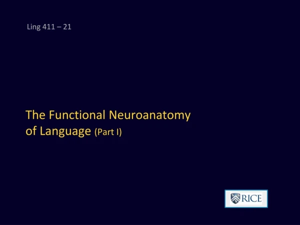 The Functional Neuroanatomy of Language  (Part I)