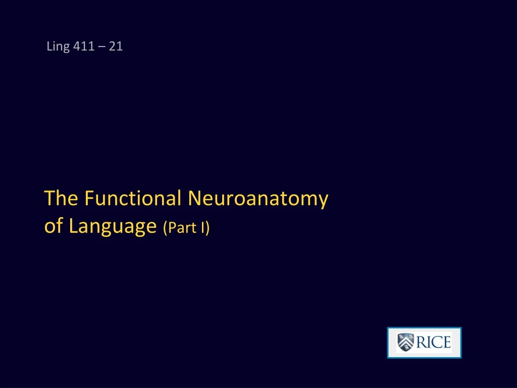 the functional neuroanatomy of language part i