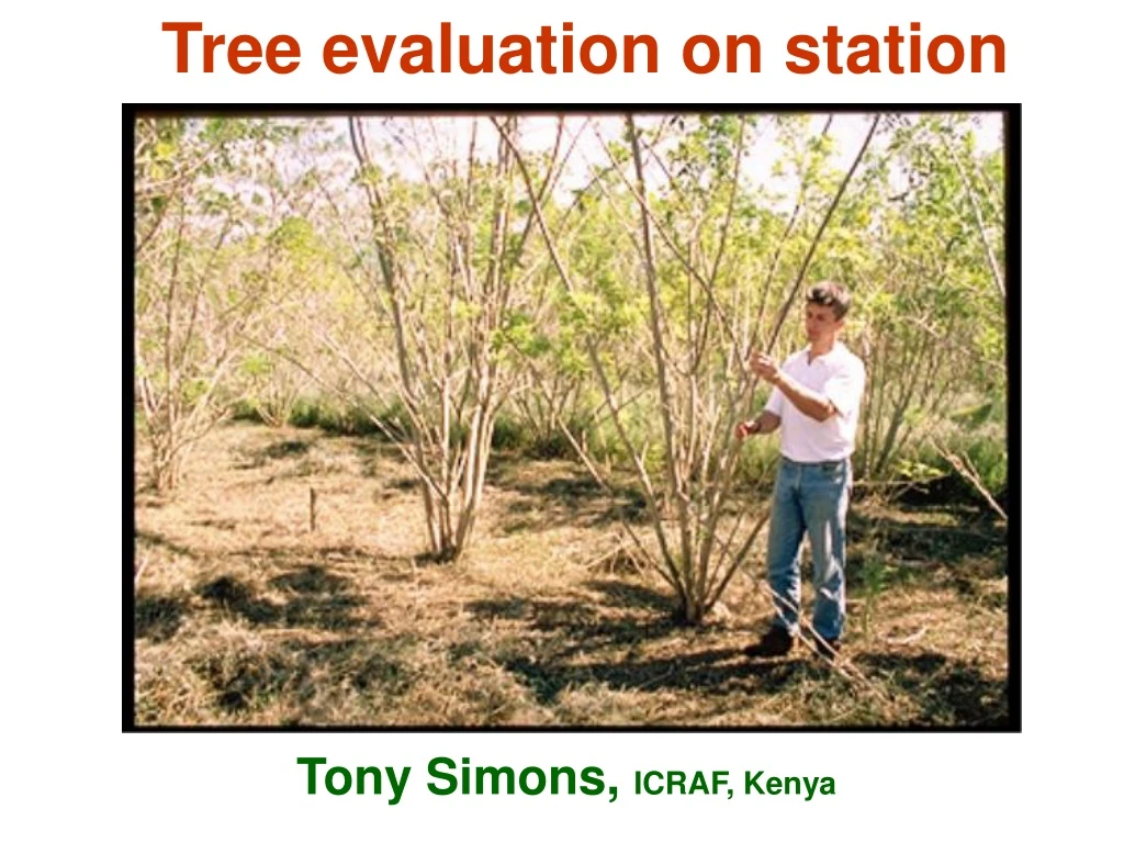 tree evaluation on station