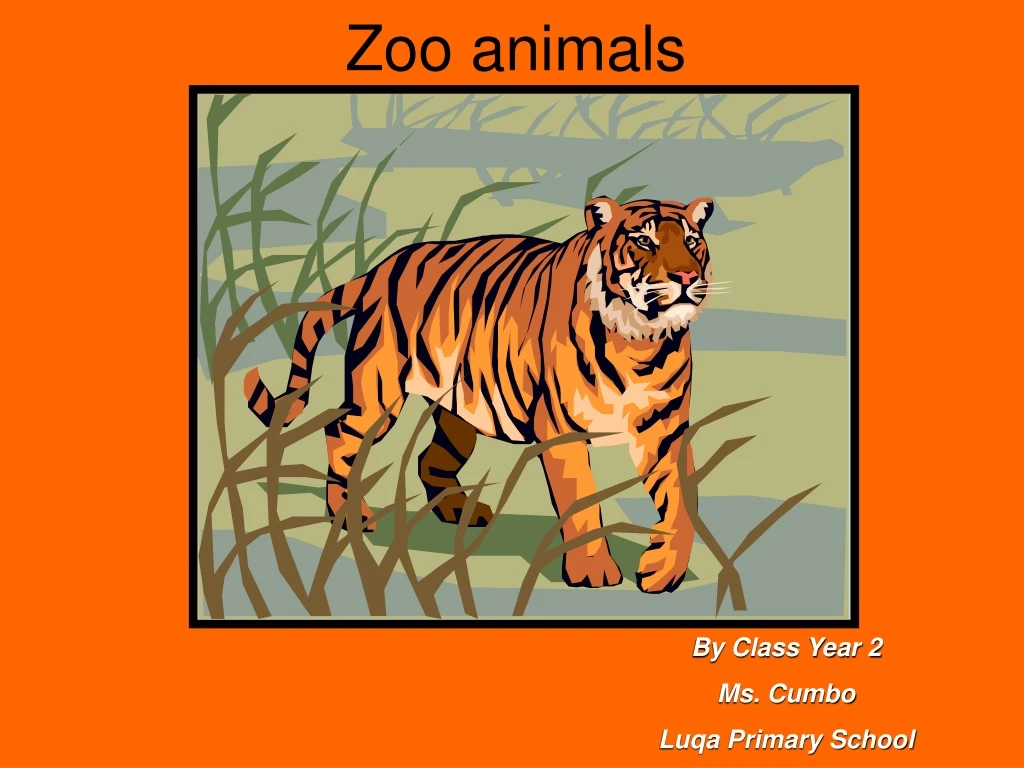 zoo animals