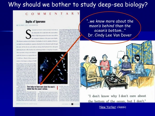 Why should we bother to study deep-sea biology?