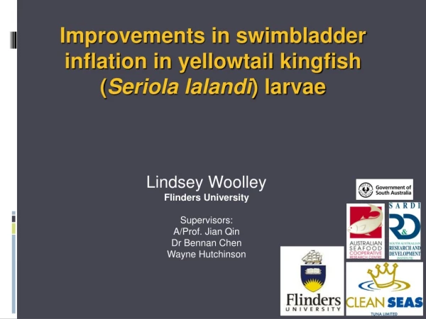 Improvements in swimbladder  inflation in yellowtail kingfish  ( Seriola lalandi ) larvae