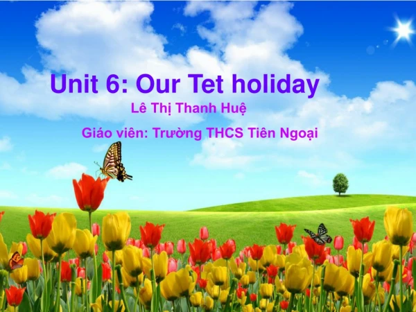 Unit 6: Our Tet holiday