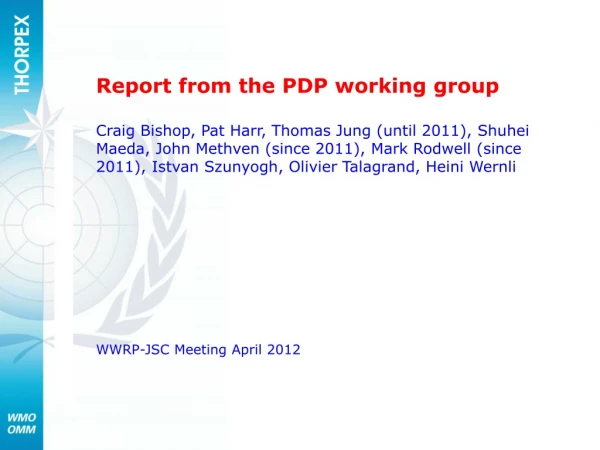 Report from the PDP working group