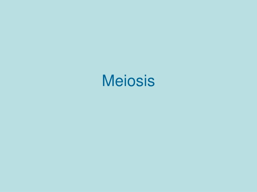 meiosis