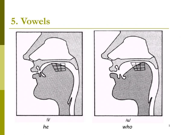 5. Vowels