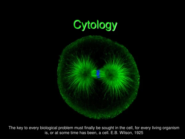 Cytology