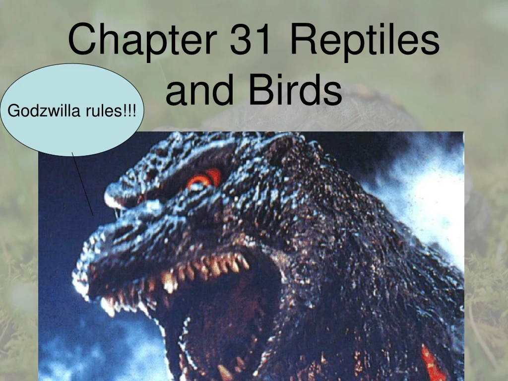 chapter 31 reptiles and birds