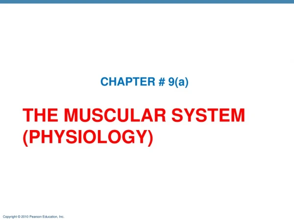 THE MUSCULAR SYSTEM (PHYSIOLOGY)