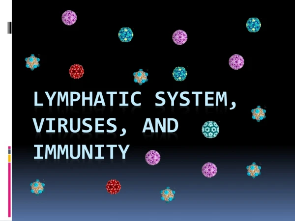 Lymphatic System, Viruses, and Immunity
