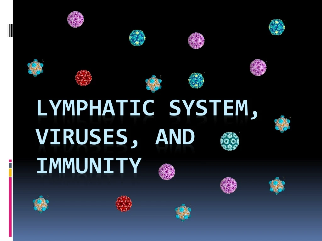 lymphatic system viruses and immunity