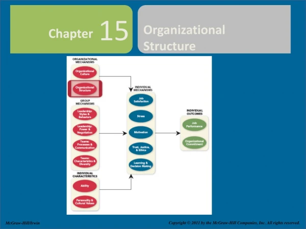 Organizational Structure