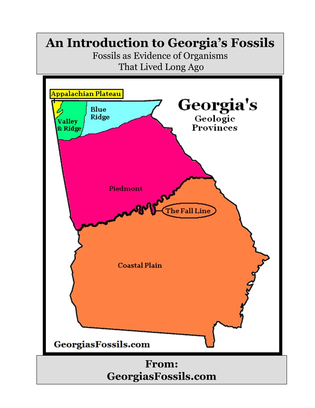 an introduction to georgia s fossils fossils