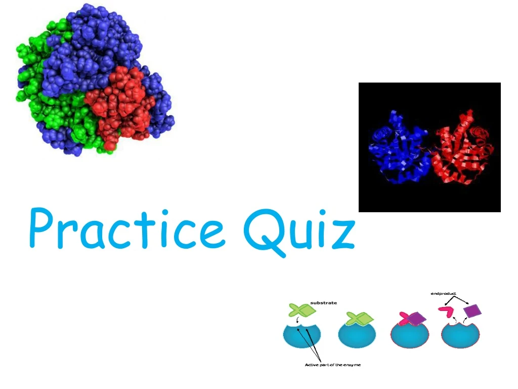 practice quiz