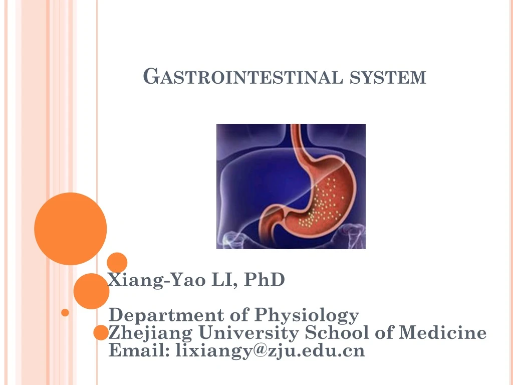 gastrointestinal system