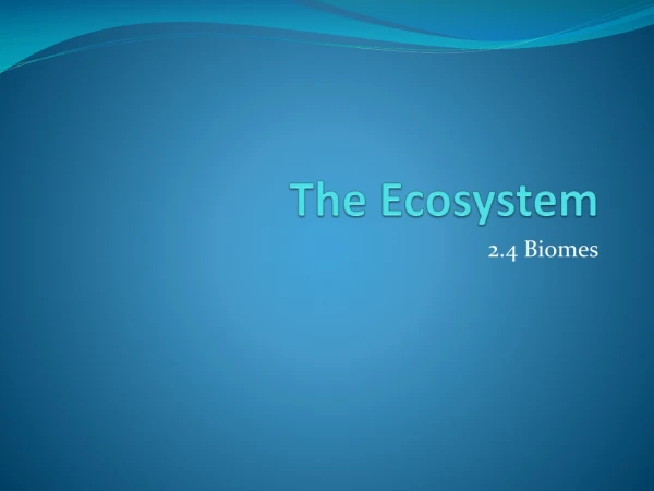 The Ecosystem