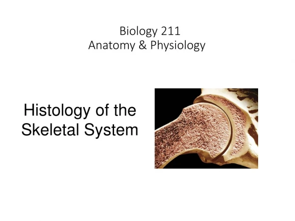 Biology 211 Anatomy &amp; Physiology  I