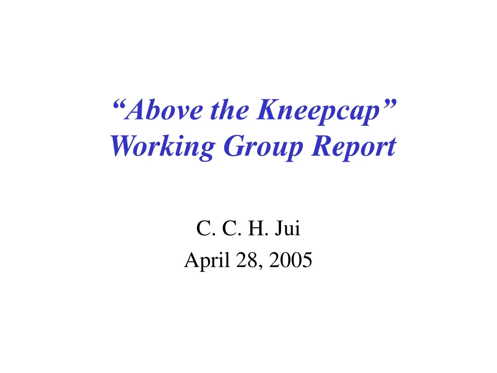 above the kneepcap working group report
