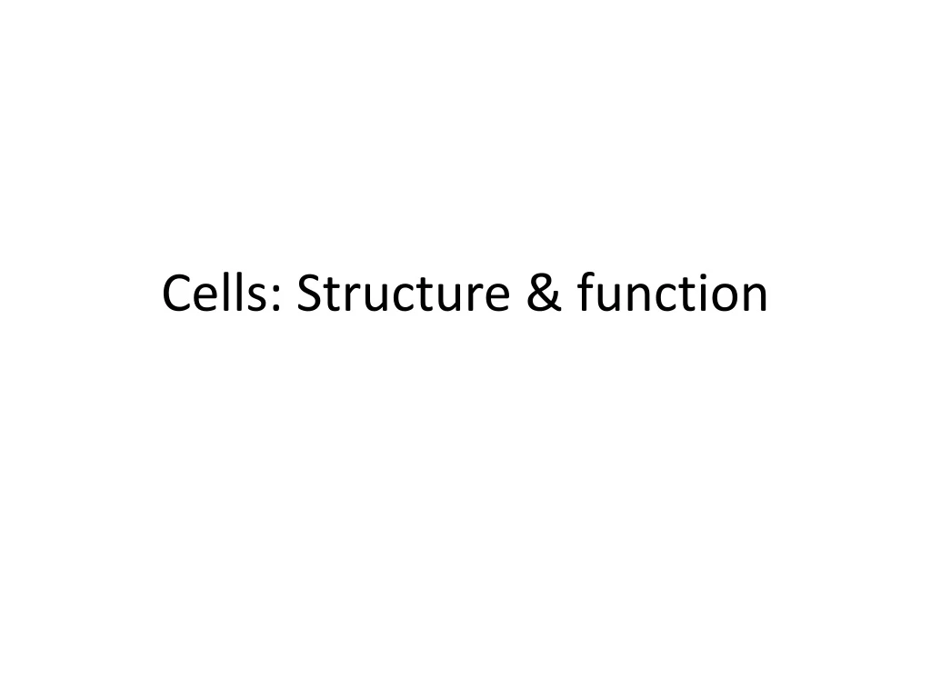 cells structure function