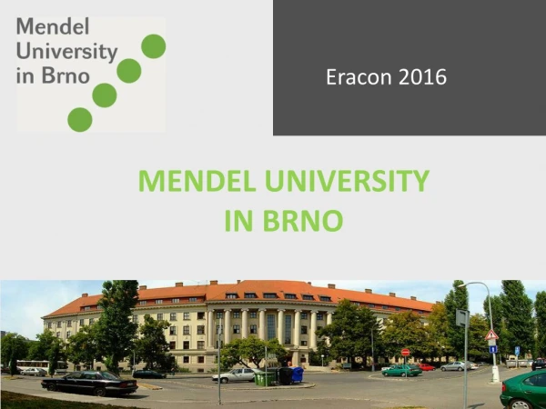 MENDEL UNIVERSITY  IN BRNO