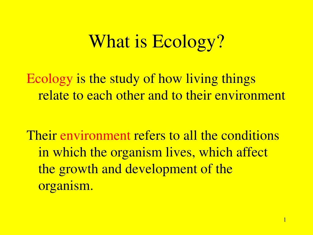 what is ecology