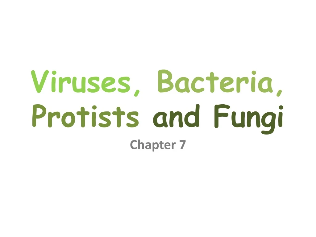 viruses bacteria protists and fungi