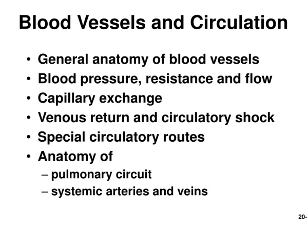 Blood Vessels and Circulation