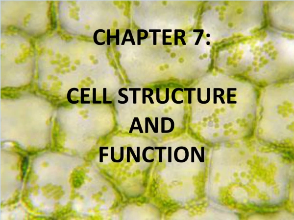 CHAPTER 7:  CELL STRUCTURE  AND  FUNCTION