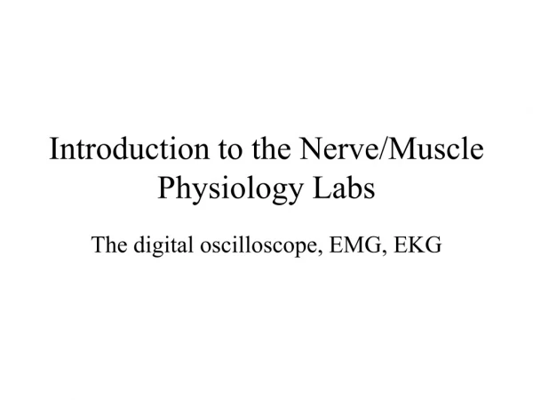 Introduction to the Nerve/Muscle Physiology Labs