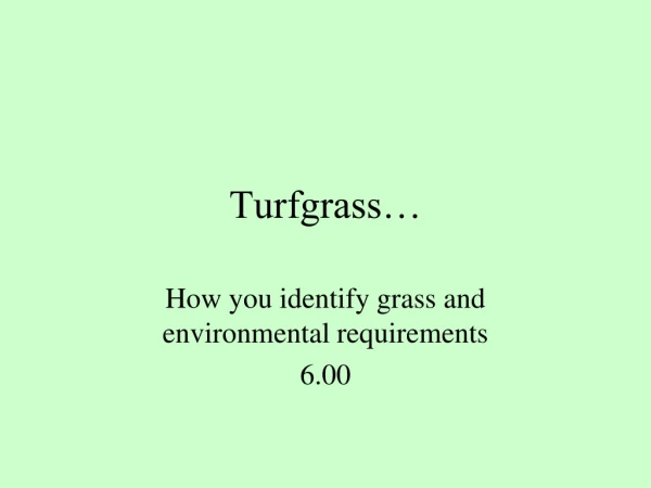 Turfgrass…