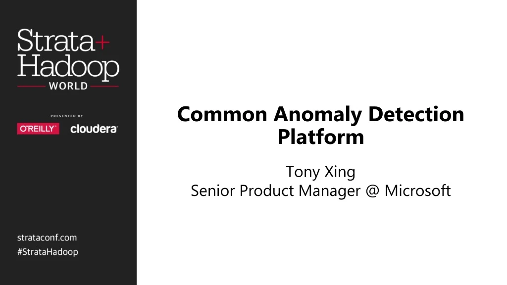 common anomaly detection platform
