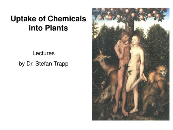 Uptake of Chemicals into Plants