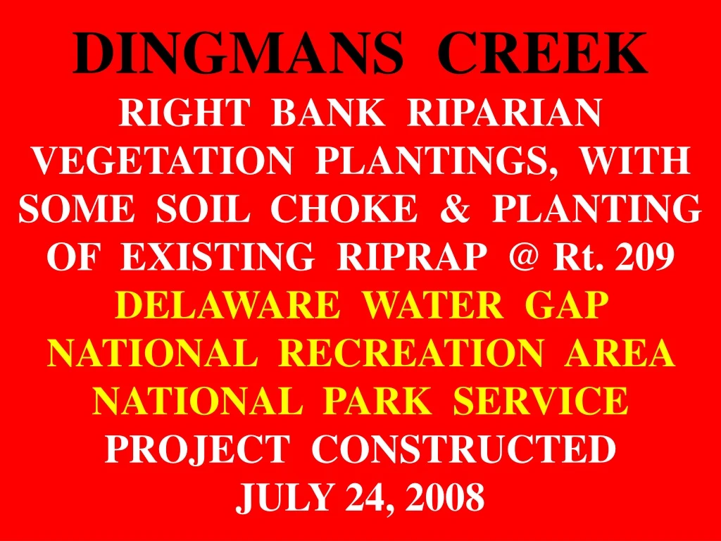 dingmans creek right bank riparian vegetation