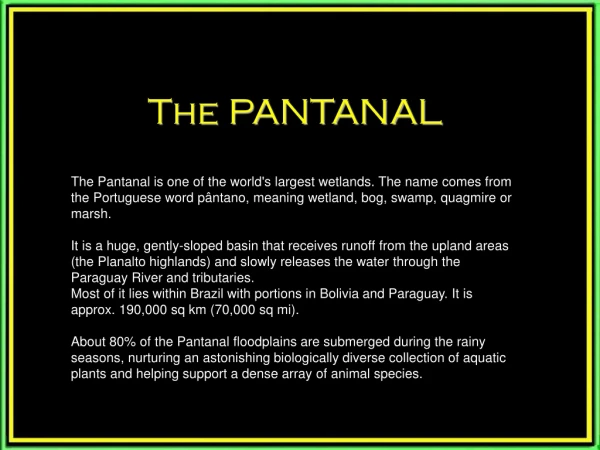 The PANTANAL