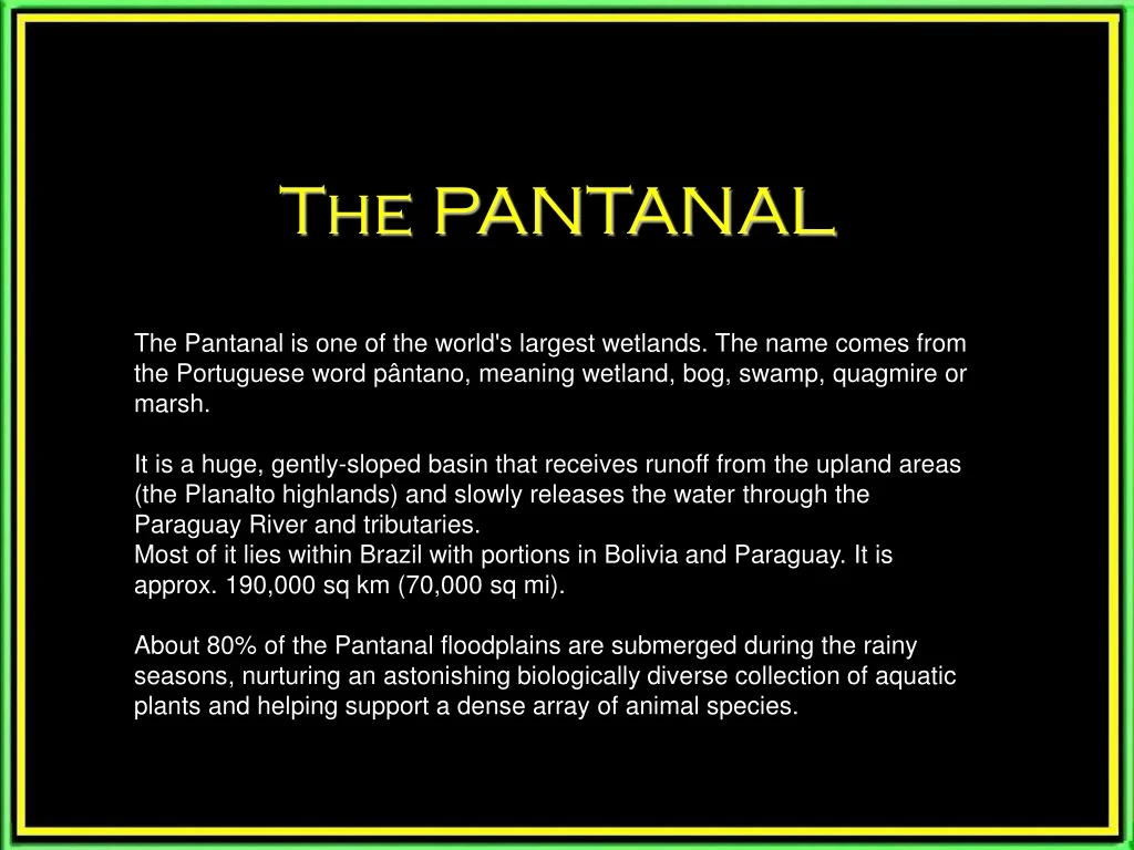 the pantanal