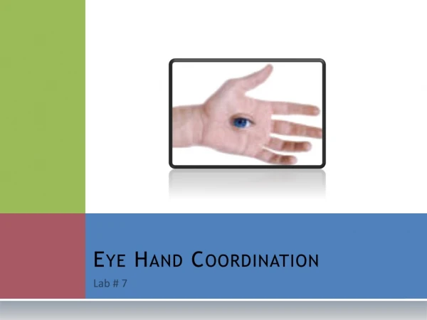 Eye Hand Coordination