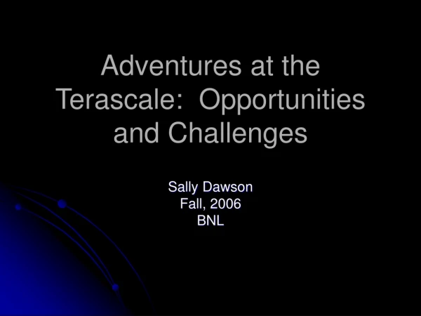 Adventures at the Terascale:  Opportunities and Challenges