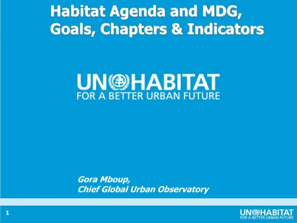 Habitat Agenda and MDG, Goals, Chapters &amp; Indicators