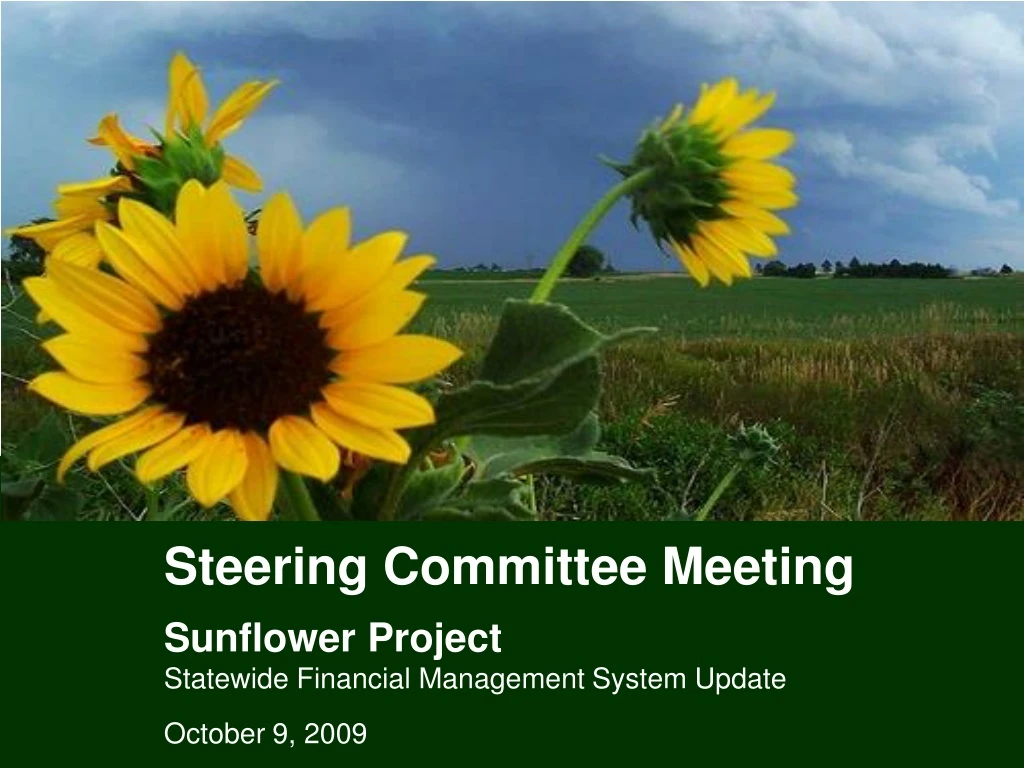 steering committee meeting sunflower project statewide financial management system update