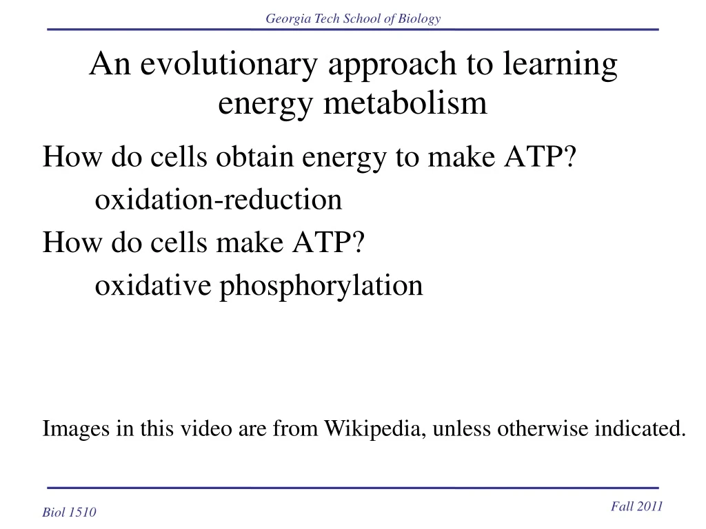 an evolutionary approach to learning energy metabolism