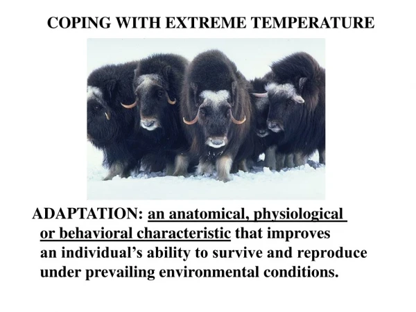 COPING WITH EXTREME TEMPERATURE