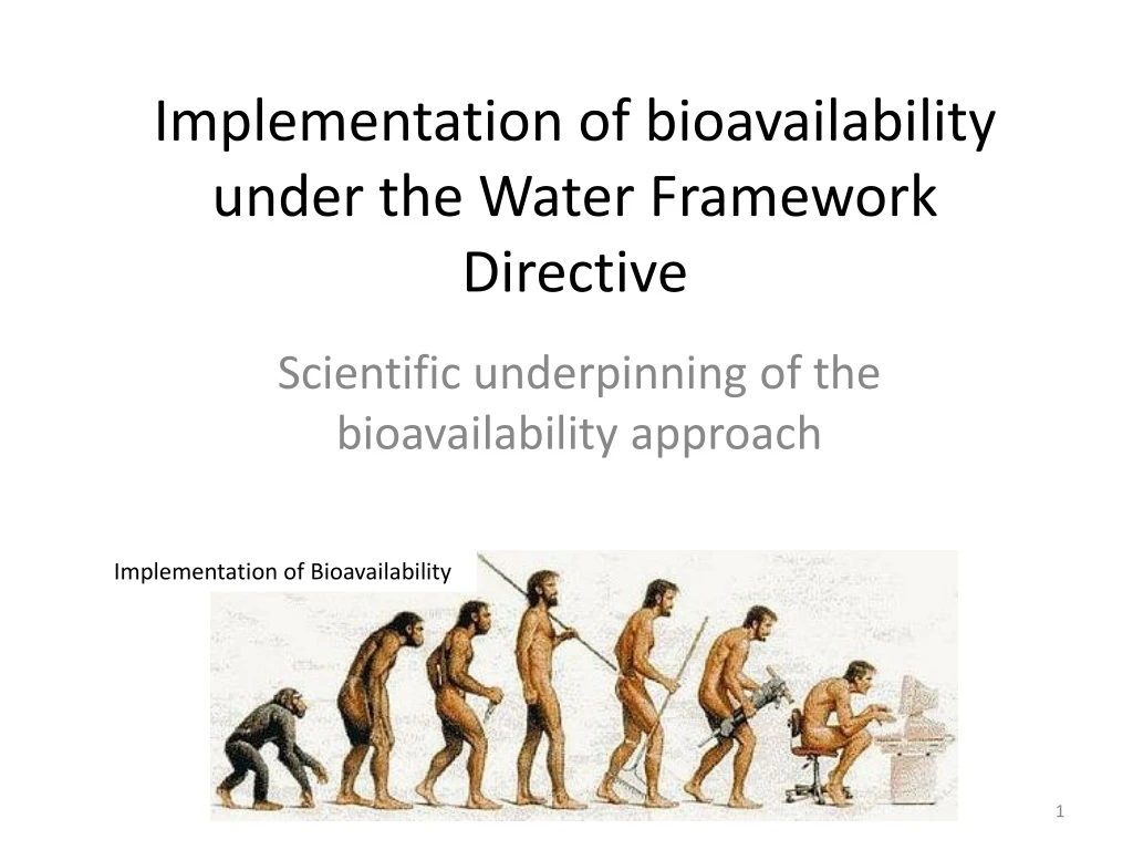 implementation of bioavailability under the water framework directive
