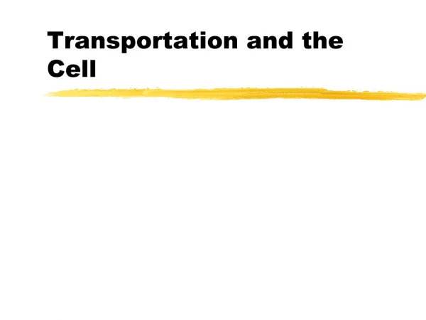 Transportation and the Cell