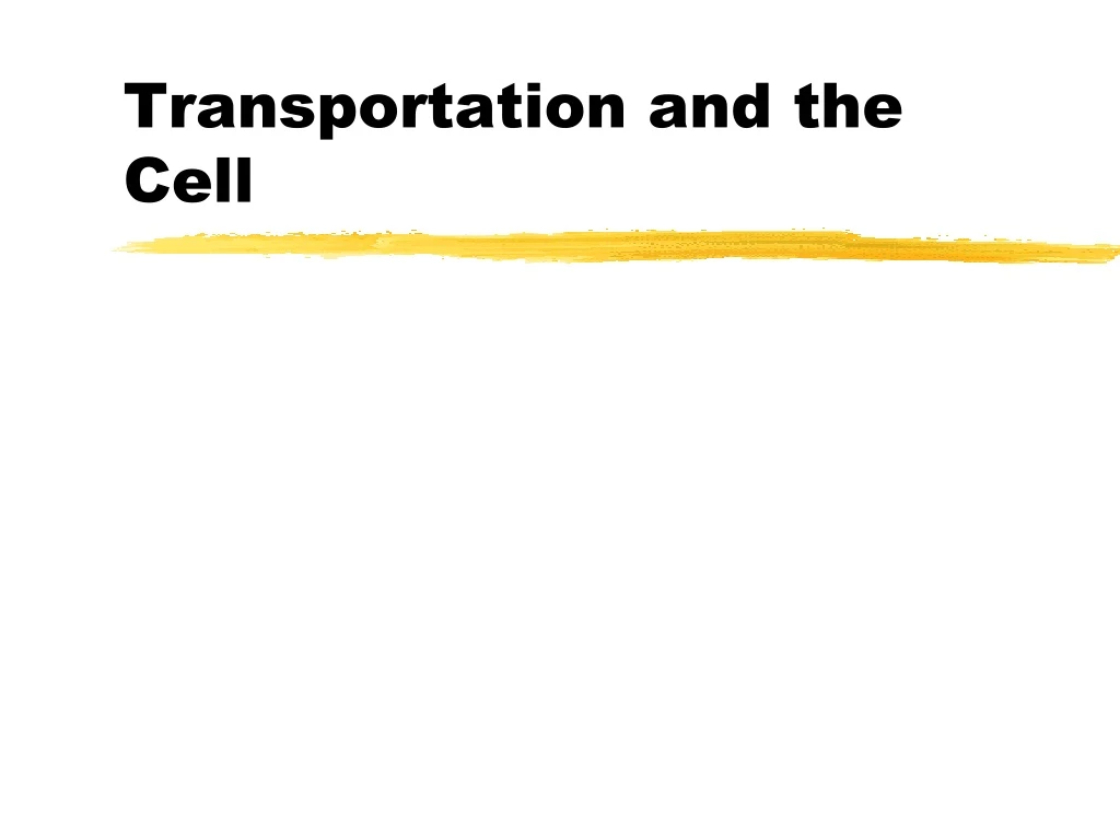 transportation and the cell