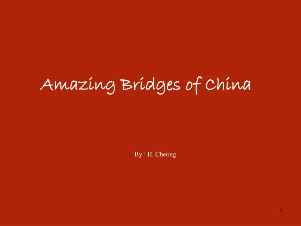 Amazing Bridges of China